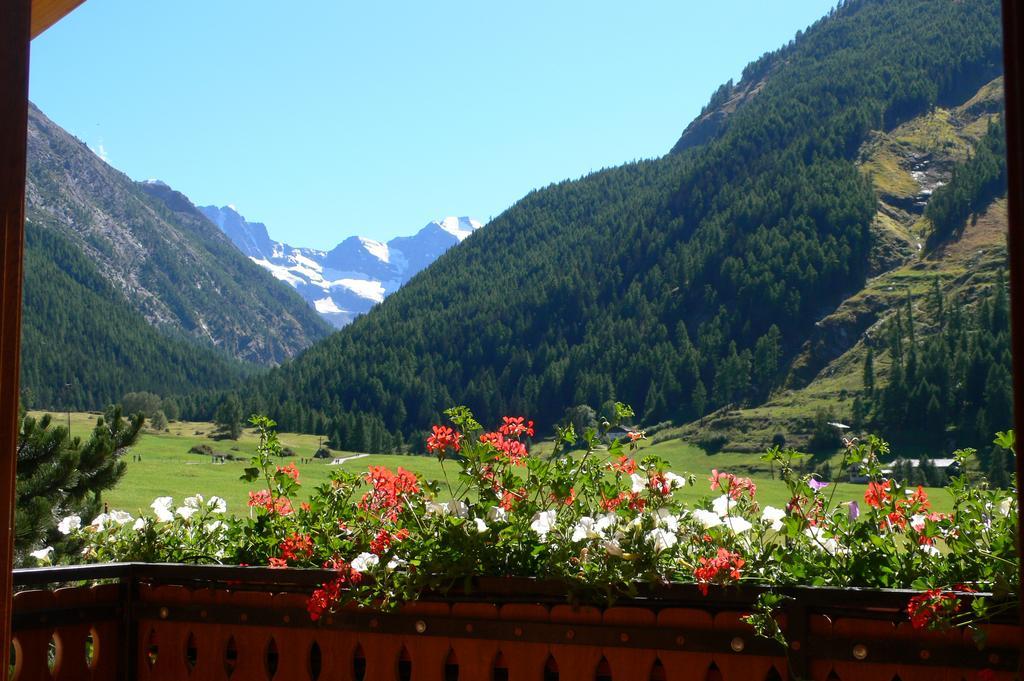 Albergo Du Soleil Cogne Zewnętrze zdjęcie